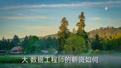 大 數(shù)據(jù)工程師的薪資如何