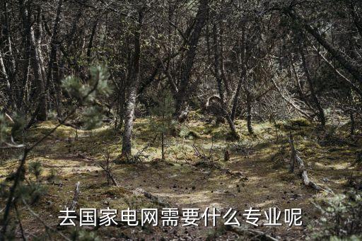 自動化專業(yè)電網(wǎng)嗎,專業(yè)能考國家電網(wǎng)嗎?專業(yè)看這里!