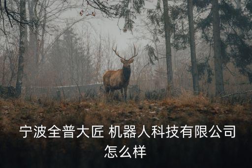  寧波全普大匠 機(jī)器人科技有限公司怎么樣