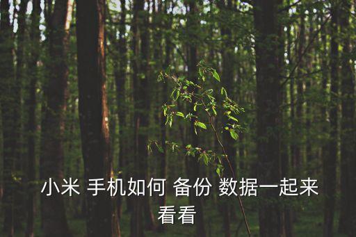  小米 手機(jī)如何 備份 數(shù)據(jù)一起來(lái)看看