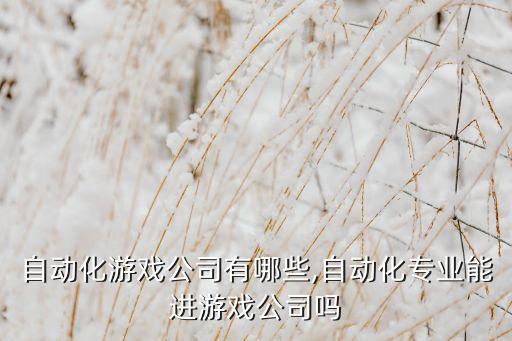 最強自動化游戲公司有哪些,自動化專業(yè)能進游戲公司嗎