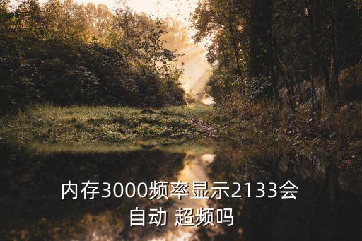  內(nèi)存3000頻率顯示2133會 自動 超頻嗎