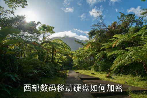 西部數(shù)碼移動(dòng)硬盤如何加密