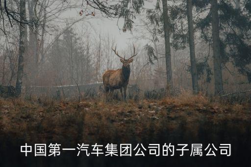 新京自動(dòng)化技術(shù)有限公司,邯鄲自動(dòng)化公司是什么?