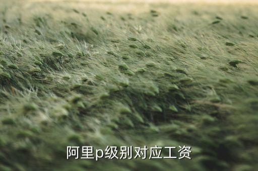 阿里p級別對應工資