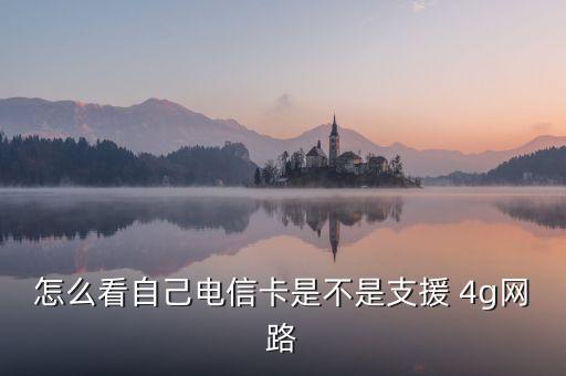 怎么看自己電信卡是不是支援 4g網路