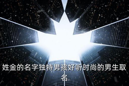 姓金的名字獨(dú)特男孩好聽時尚的男生取名