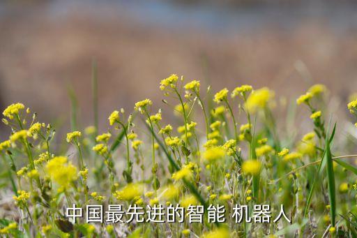 中國最先進(jìn)的智能 機(jī)器人