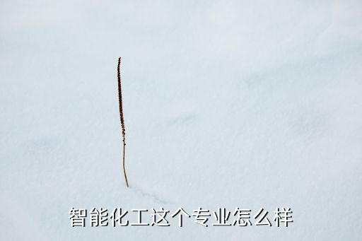 智能化工這個專業(yè)怎么樣