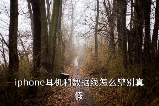 iphone耳機和數(shù)據(jù)線怎么辨別真假