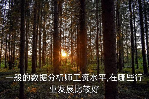 一般的數(shù)據(jù)分析師工資水平,在哪些行業(yè)發(fā)展比較好