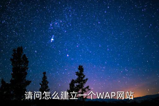 請(qǐng)問(wèn)怎么建立一個(gè)WAP網(wǎng)站