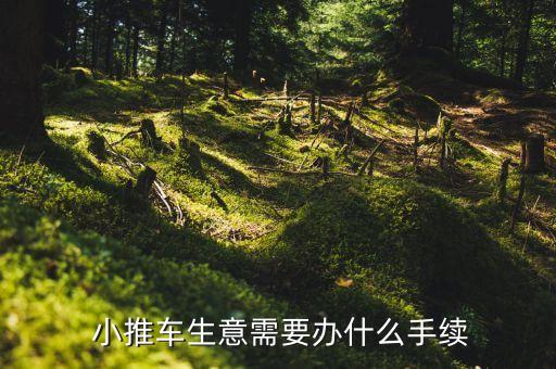  小推車生意需要辦什么手續(xù)