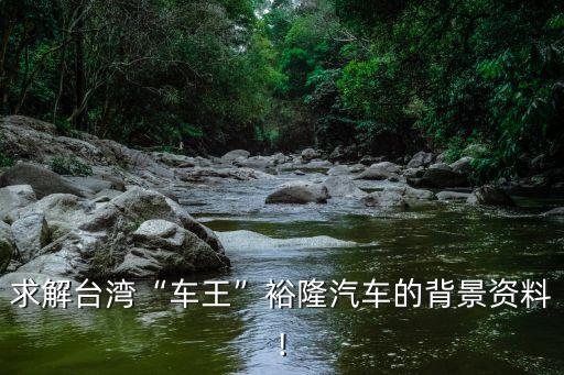 求解臺灣“車王”裕隆汽車的背景資料!