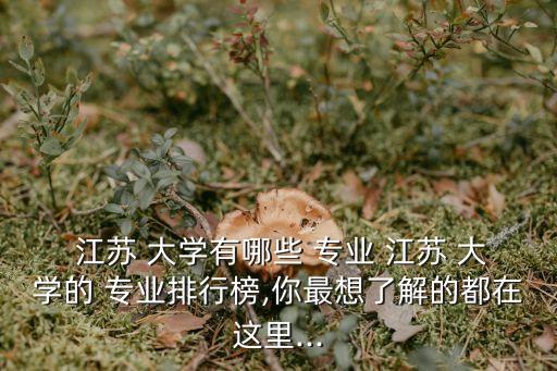  江蘇 大學有哪些 專業(yè) 江蘇 大學的 專業(yè)排行榜,你最想了解的都在這里...