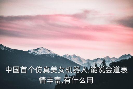 我國的機(jī)器人美女,中國首個仿真美女機(jī)器人上市
