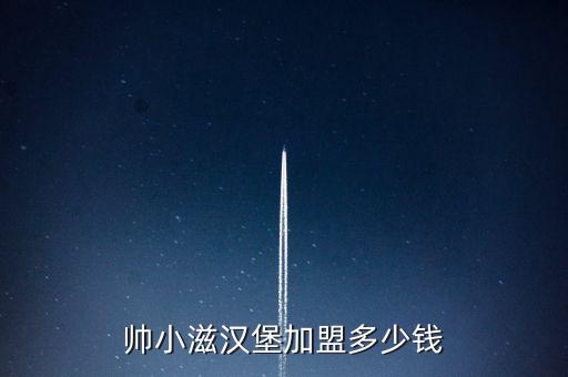 帥小滋漢堡加盟多少錢