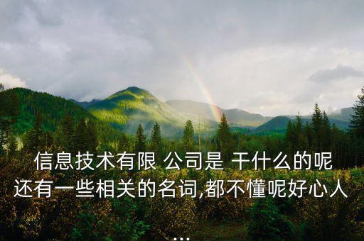  信息技術(shù)有限 公司是 干什么的呢還有一些相關(guān)的名詞,都不懂呢好心人...