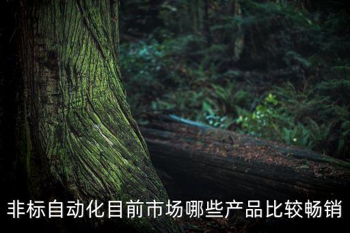 非標(biāo)自動(dòng)化目前市場哪些產(chǎn)品比較暢銷