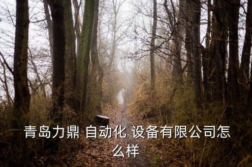 青島設(shè)備自動(dòng)化改造,青島長(zhǎng)恒自動(dòng)化設(shè)備有限公司