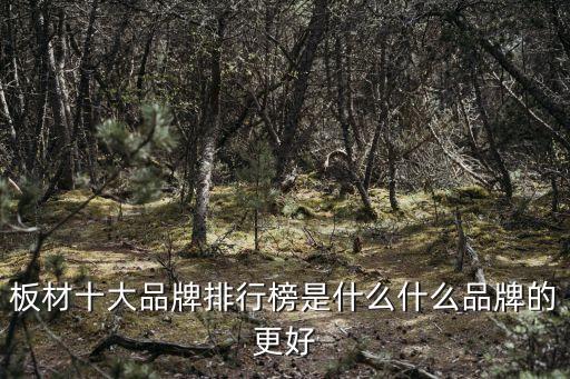 木材自動化設備有哪些品牌,免漆板十大品牌有哪些?