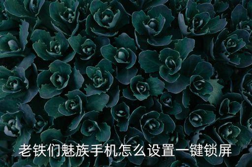 老鐵們魅族手機(jī)怎么設(shè)置一鍵鎖屏