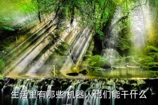 生活里有那些 機(jī)器人他們能干什么