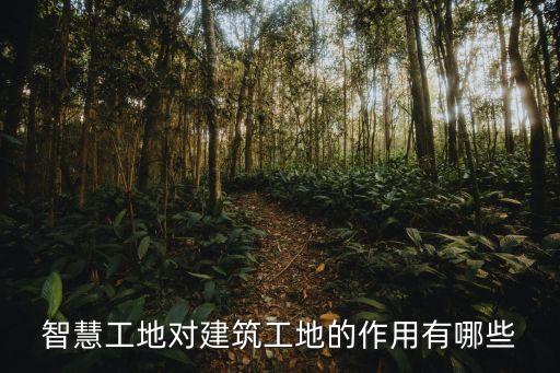 工地自動(dòng)化設(shè)備運(yùn)行視頻,如何安裝和調(diào)試自動(dòng)化設(shè)備?