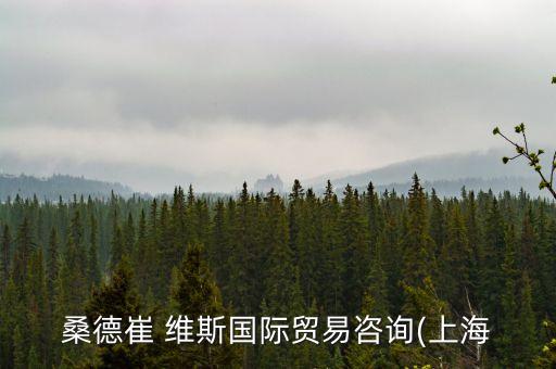 桑德崔 維斯國(guó)際貿(mào)易咨詢(上海