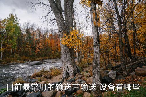 目前最常用的輸送帶輸送 設(shè)備有哪些