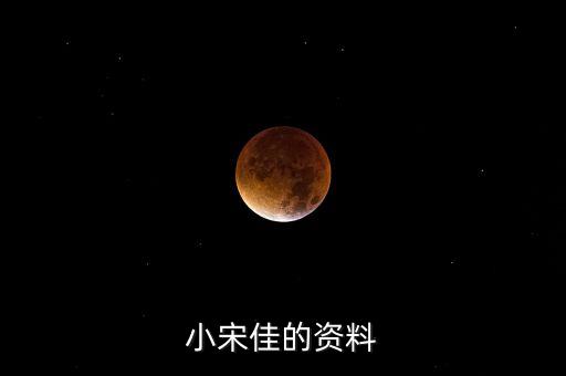 小宋佳的資料