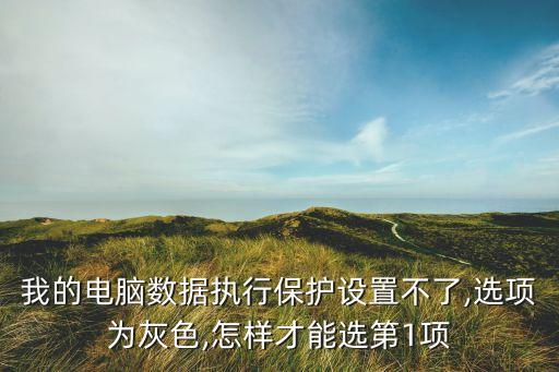 我的電腦數(shù)據(jù)執(zhí)行保護(hù)設(shè)置不了,選項(xiàng)為灰色,怎樣才能選第1項(xiàng)
