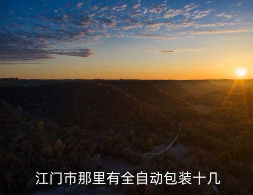  江門市那里有全自動包裝十幾