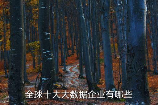 全球十大大數(shù)據(jù)企業(yè)有哪些