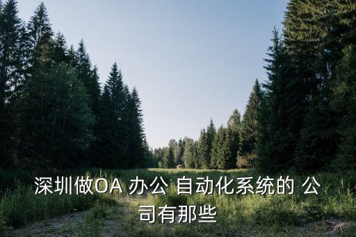 深圳做OA 辦公 自動(dòng)化系統(tǒng)的 公司有那些