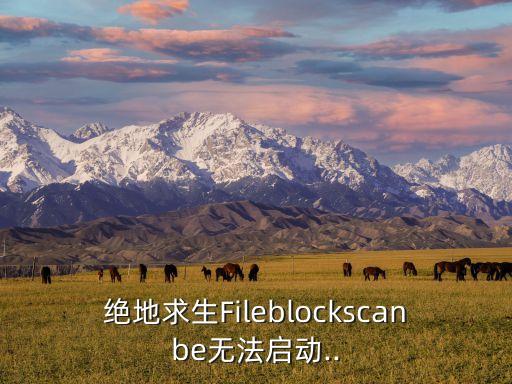 絕地求生Fileblockscanbe無(wú)法啟動(dòng)..