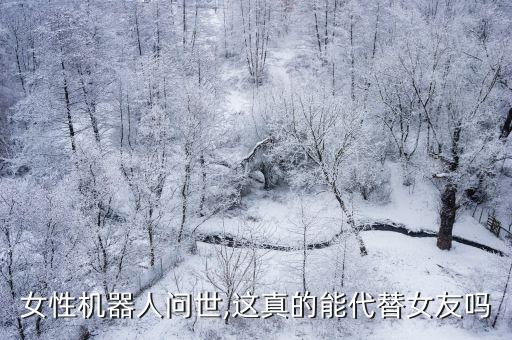 人類女機器人,智能機器人女性為何多于男性?