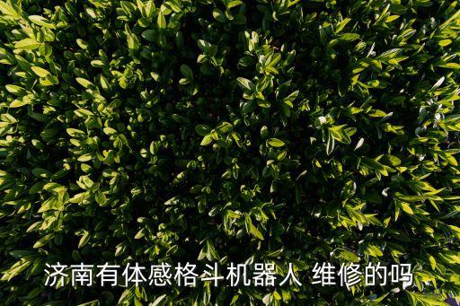 濟南有體感格斗機器人 維修的嗎