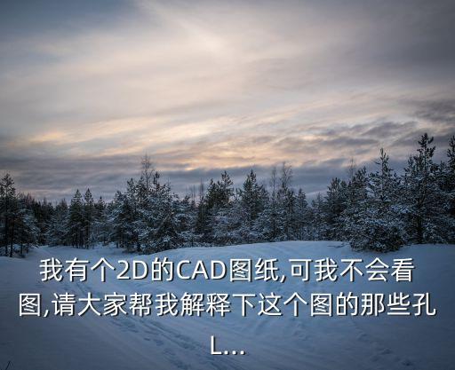 我有個2D的CAD圖紙,可我不會看圖,請大家?guī)臀医忉屜逻@個圖的那些孔L...