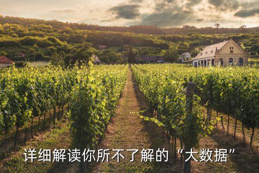詳細(xì)解讀你所不了解的“大數(shù)據(jù)”