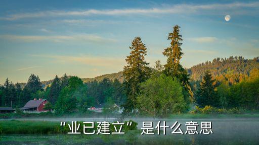 “業(yè)已建立”是什么意思