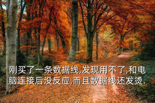剛買了一條數(shù)據(jù)線,發(fā)現(xiàn)用不了,和電腦連接后沒反應(yīng),而且數(shù)據(jù)線還發(fā)燙...