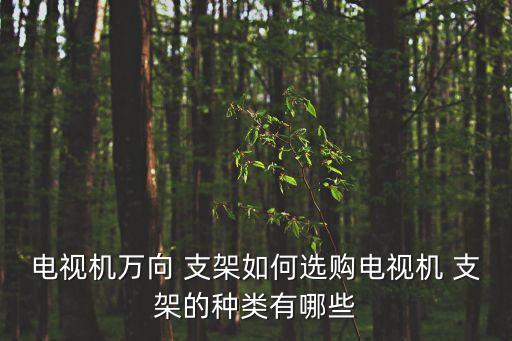 電視機萬向 支架如何選購電視機 支架的種類有哪些