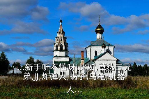 ...新手聽(tīng)不懂呀!比如,草叢三兄弟,JJ,炸彈人,蝎子,烏龜,機(jī)器人...