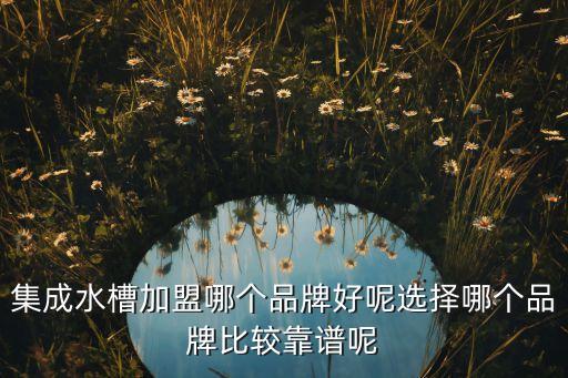 集成水槽加盟哪個(gè)品牌好呢選擇哪個(gè)品牌比較靠譜呢