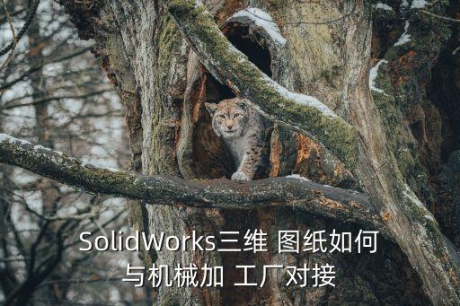 SolidWorks三維 圖紙如何與機械加 工廠對接