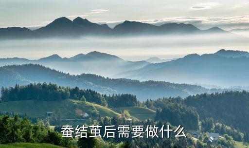 自動化養(yǎng)蠶設(shè)施設(shè)備,大棚養(yǎng)蠶怎么賺錢?