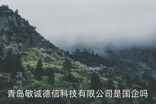 青島敏誠德信科技有限公司是國企嗎