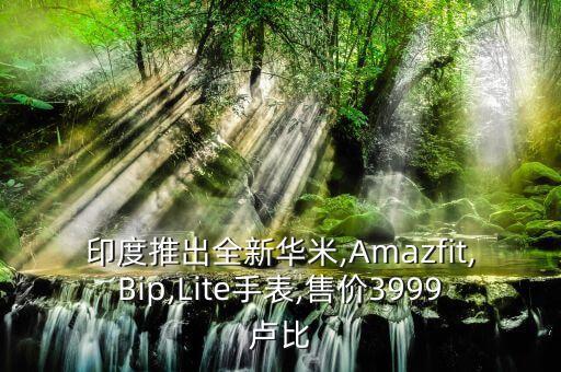 華米騎車數(shù)據(jù),如何設(shè)置每日目標(biāo)步數(shù)?華米手表3999盧比