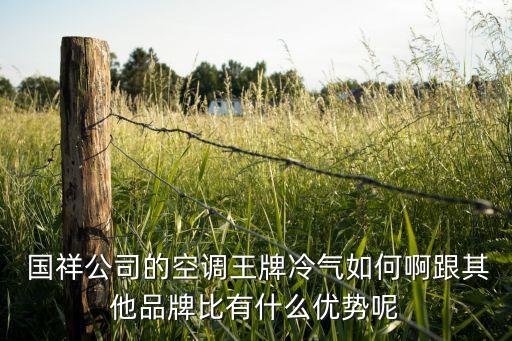  國祥公司的空調(diào)王牌冷氣如何啊跟其他品牌比有什么優(yōu)勢呢